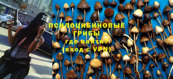 гашик Володарск