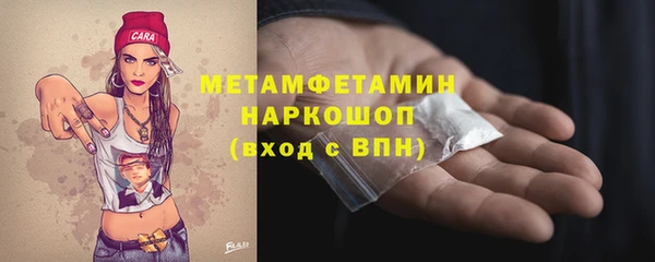 индика Волосово
