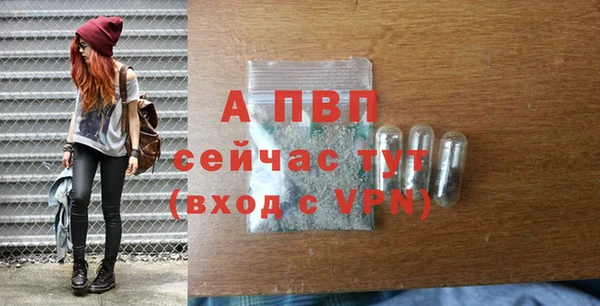 гашик Володарск