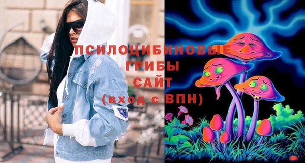 индика Волосово