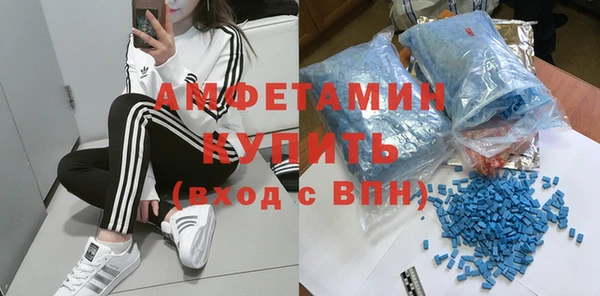 индика Волосово