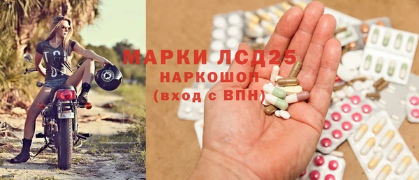 спиды Верея