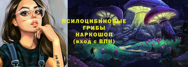 спиды Верея
