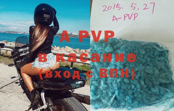 спиды Верея