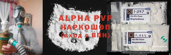 индика Волосово